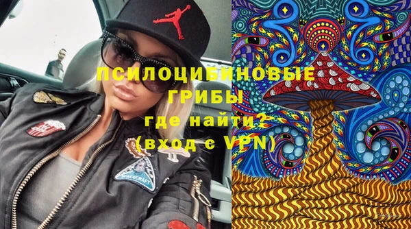mix Бородино
