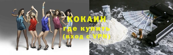 mix Бородино