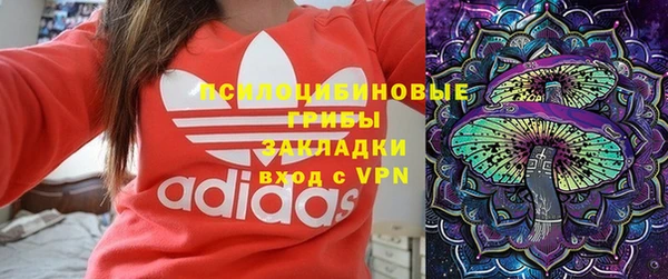 ГАЛЛЮЦИНОГЕННЫЕ ГРИБЫ Бугульма
