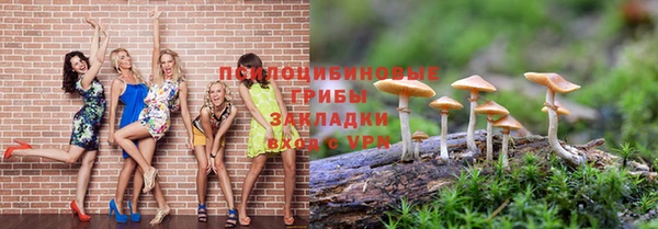 mix Бородино