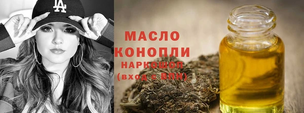 mix Бородино